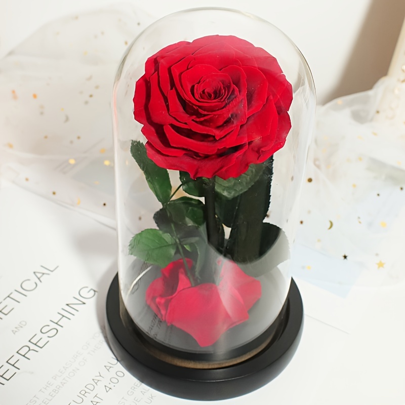 Preserved Flowers Gift for Her, Forever Roses in Glass Dome,Romantic Love  Gifts for Xmas Valentines