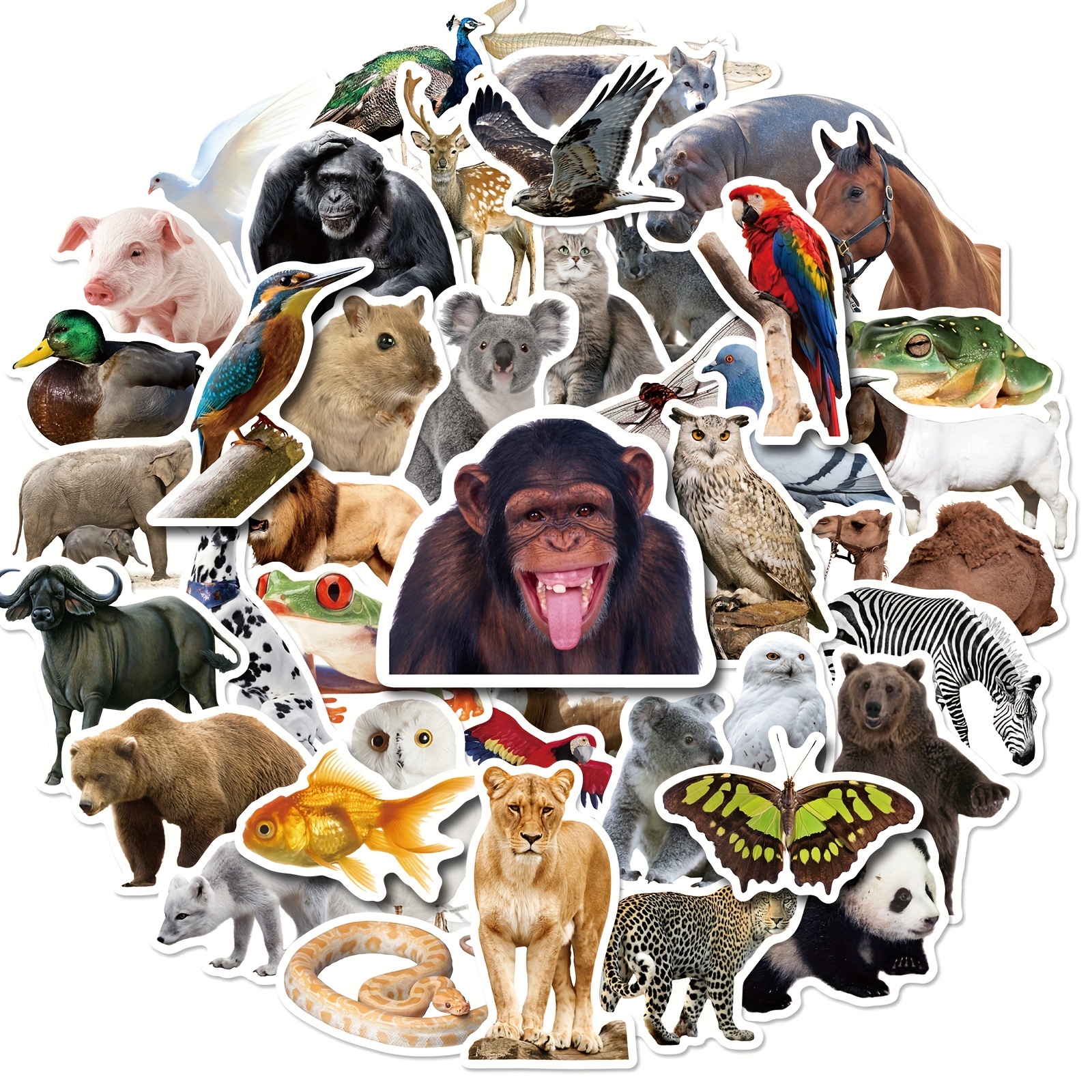 Zoo Animals Stickers Vinyl Waterproof Cute Animal Stickers - Temu