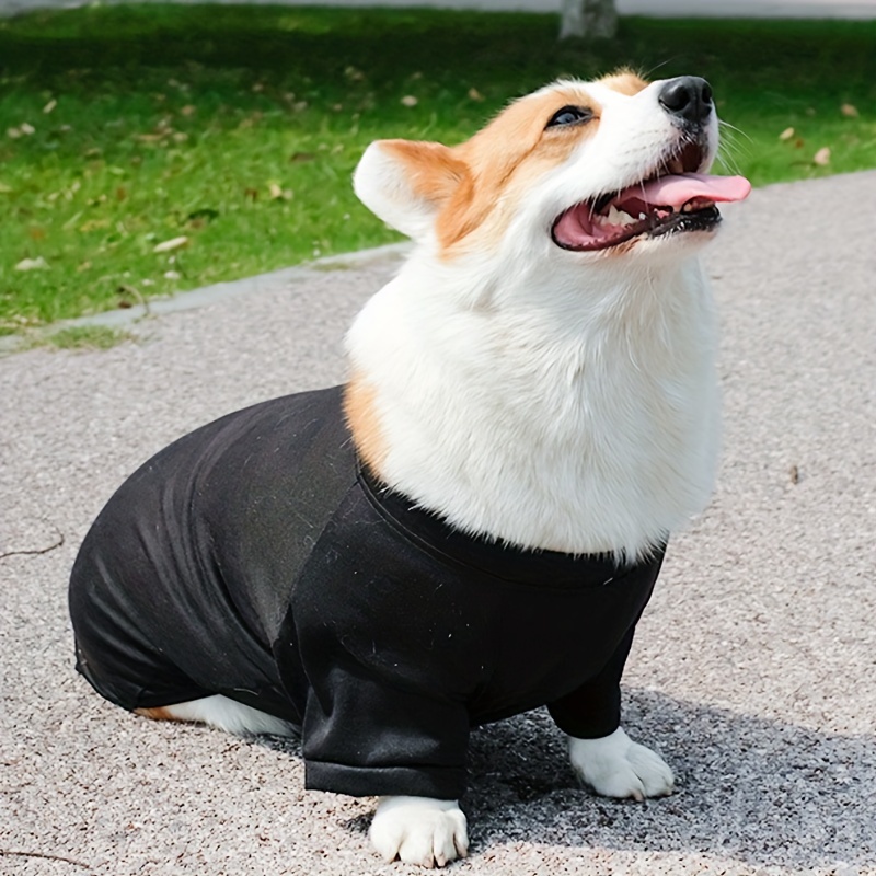 Corgi apparel 2024