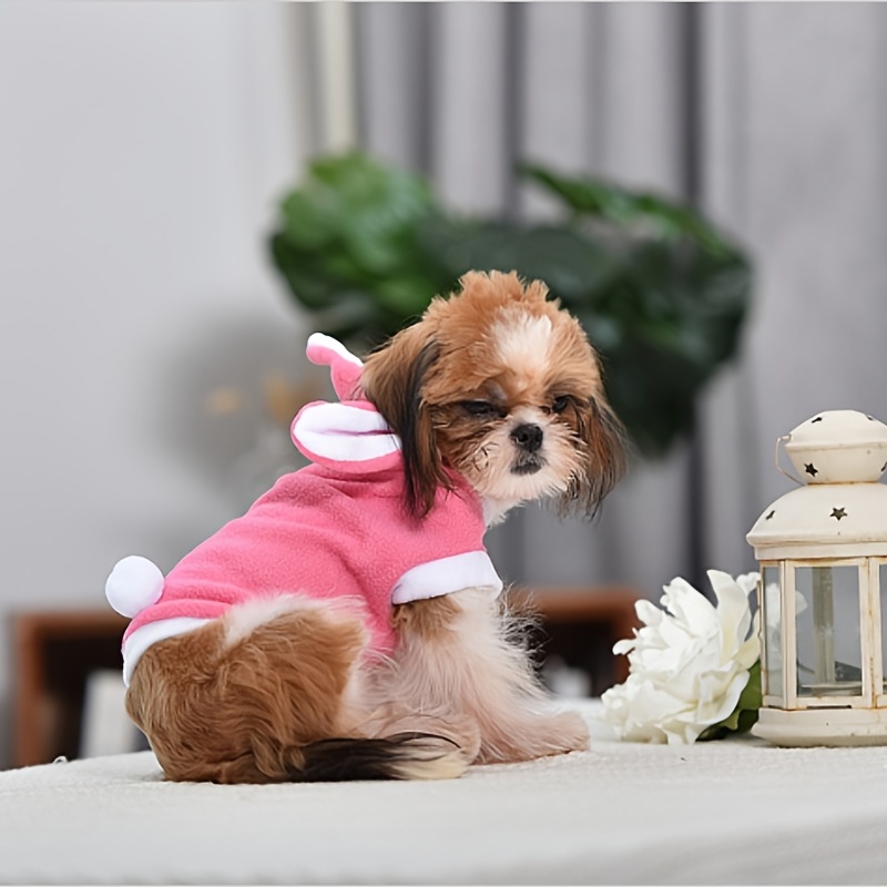 Funny dog outlet coats