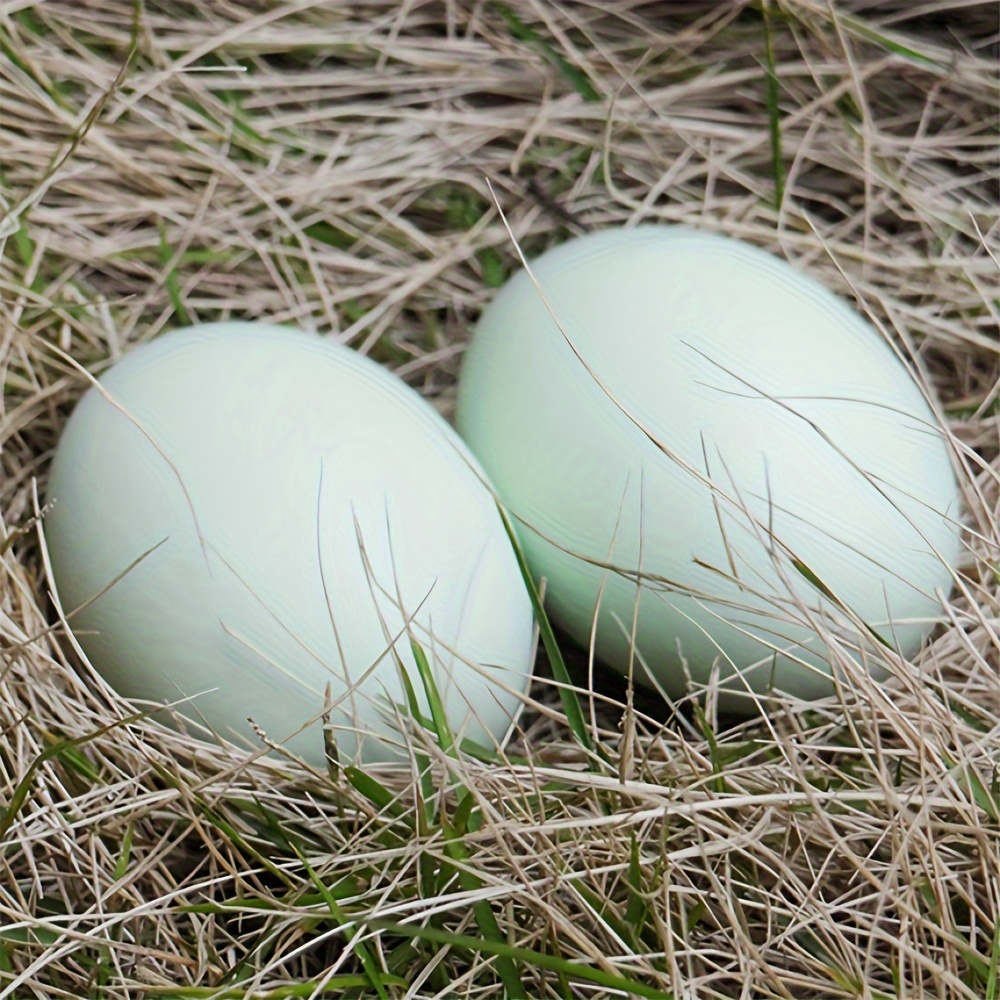 Uova Finte per Galline Uova Finte in Legno aiutano le galline ovaiole,  strumento agricolo, per nido delle galline 5 PCS Uova Finte : :  Commercio, Industria e Scienza