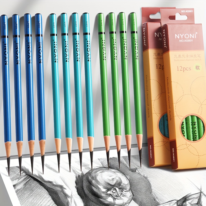 Professional Charcoal Pencils Drawing Set - 12 Pieces Soft Medium and Hard  Charcoal Pencils for Drawing, Sketching, Shading, Artist Pencils for