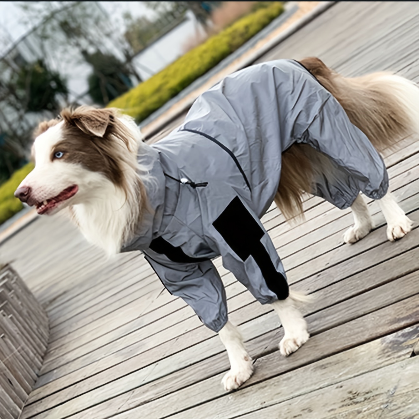 Solid Color Dog Winter Warm Coat Thickened Padded Pet Jacket Soft  Comfortable Dog Clothes For Cold Weather - Temu