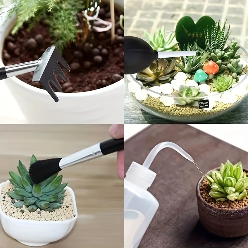 16pcs plantes succulentes outils de bricolage mini ensemble - Temu