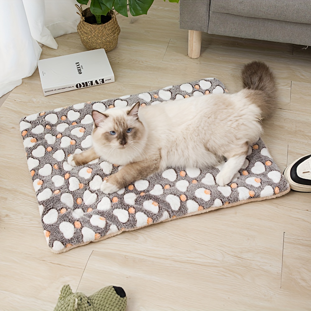 Cat mattress outlet bed