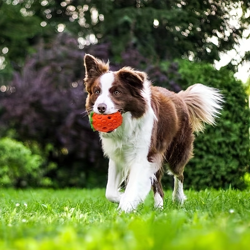 Pet Interactive Puppy Puzzle Toy Strawberry Plush Dog Toy, Slow