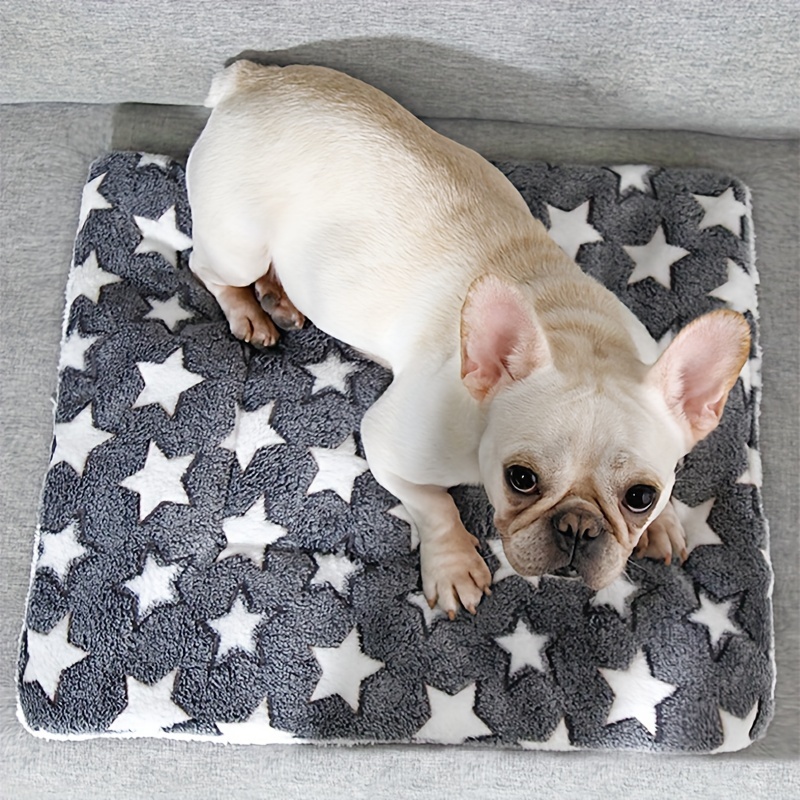 Cute dog clearance mats