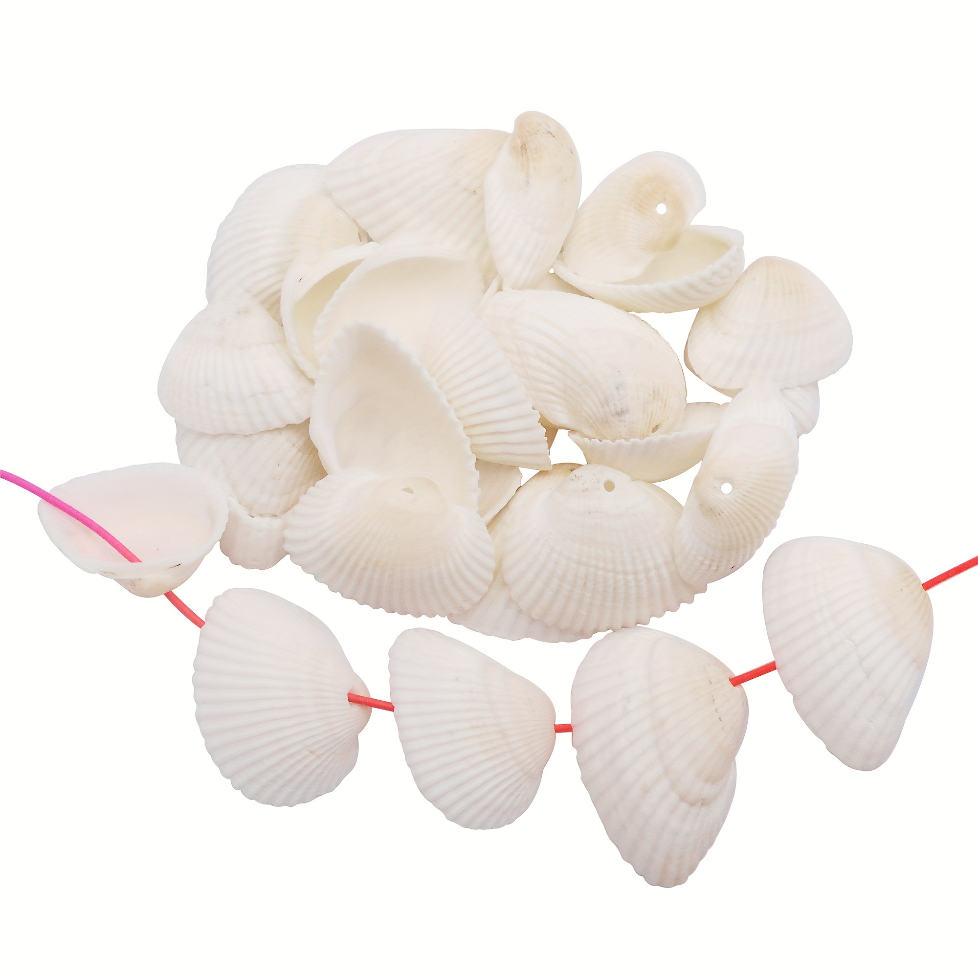 

30pcs Seashell With Hole Charms Conch Scallop Sea Shells Pendants For Jewelry Craft Wind Chime Making Diy Accessories