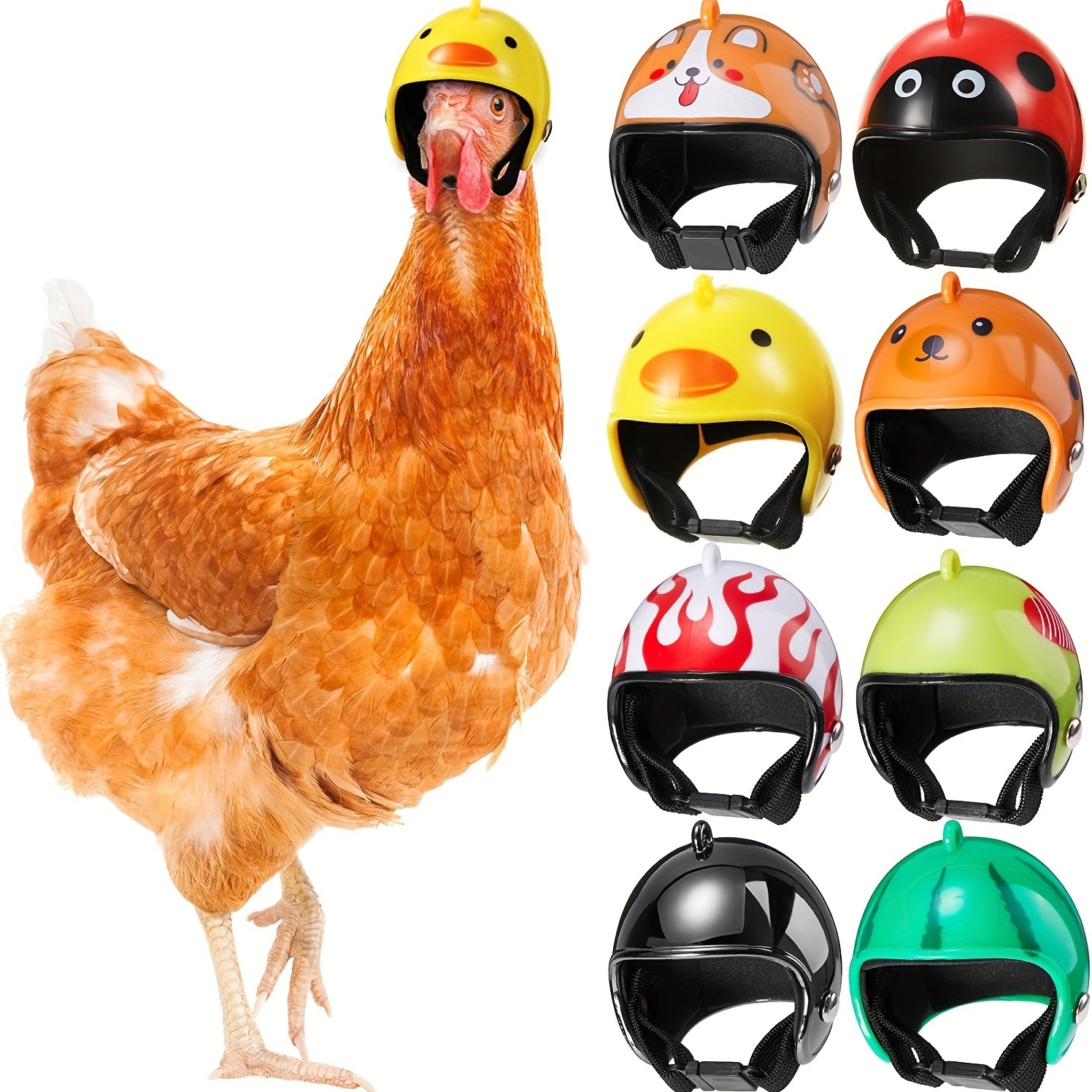 Helme für Hühner ernsthaft? Warum? (Tiere, Huhn, Helm)