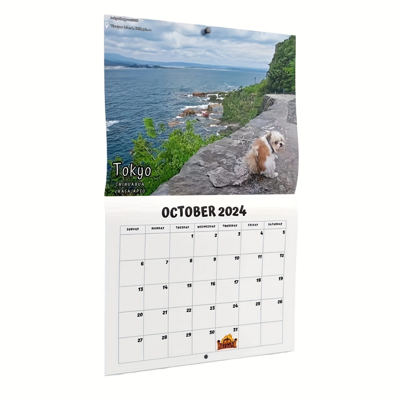 1/2 Pièces Calendrier Mural 2024 Avec Crottes De Chien Dans De Beaux  Endroits, Calendrier Mural Amusant, Cadeau Humoristique, Calendrier De  Farces