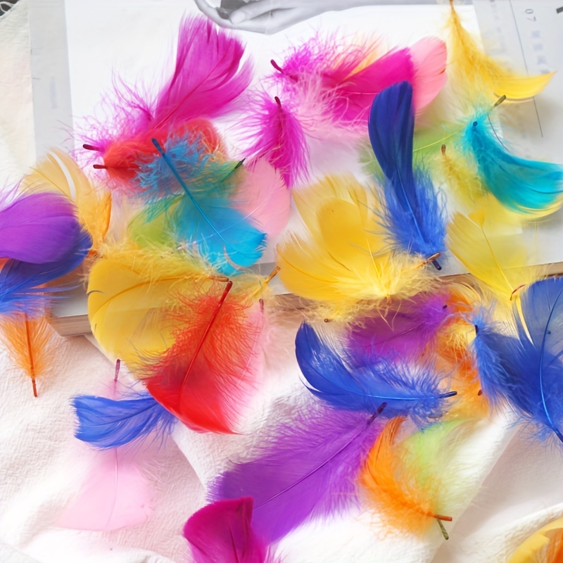  800 plumas coloridas de 16 colores para manualidades, plumas de  pollo a granel para jardín de infantes, manualidades, decoración de fiesta  en el hogar, suministros de atrapasueños : Arte y Manualidades