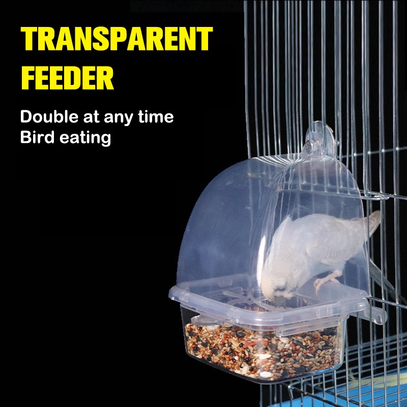 Mangeoire à Oiseaux Transparent Station d'alimentation Automatique