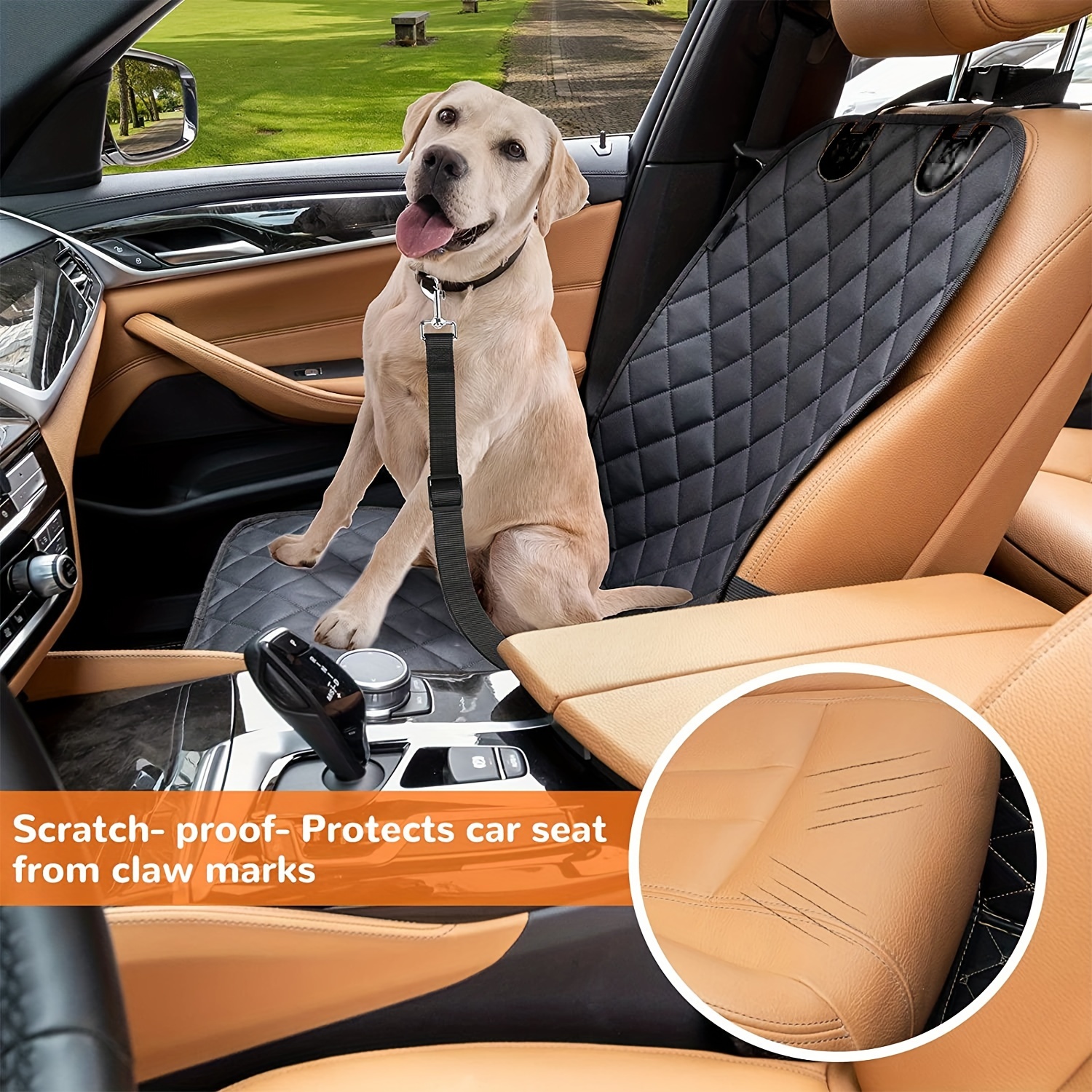 Dog front outlet seat belt