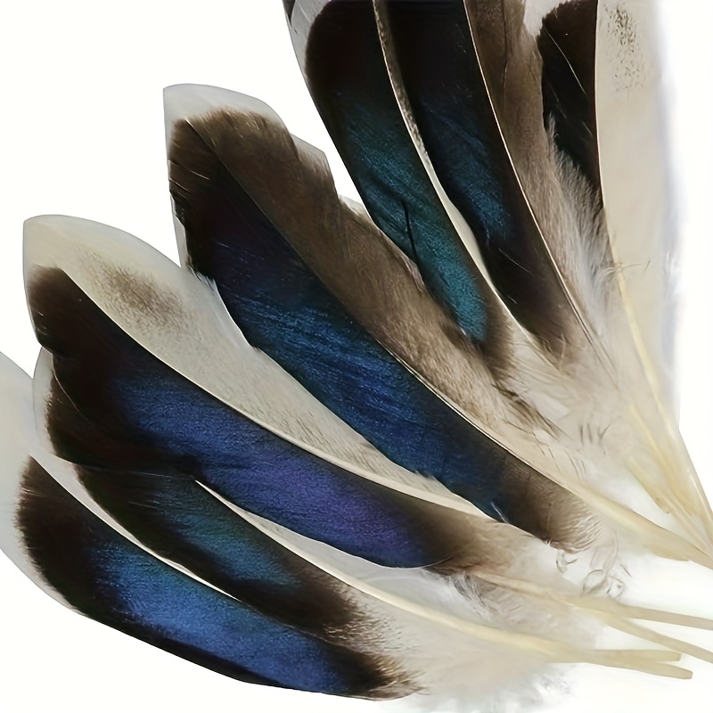 Duck Feathers Diy Craft Arts Natural Feathers Carnival - Temu