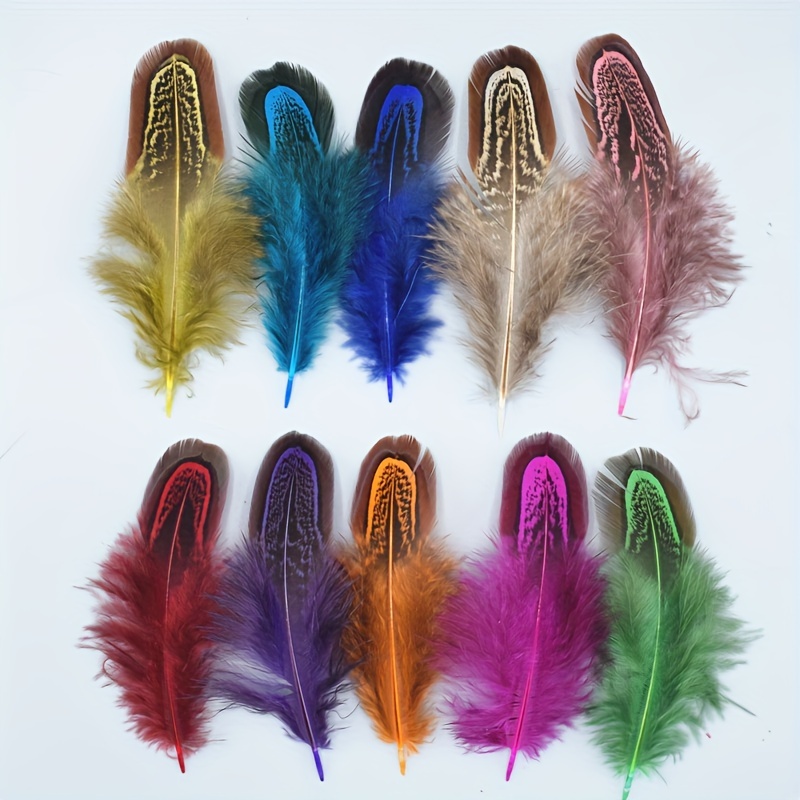 Beautiful Natural Male Chicken Tail Feather Stain Natural - Temu