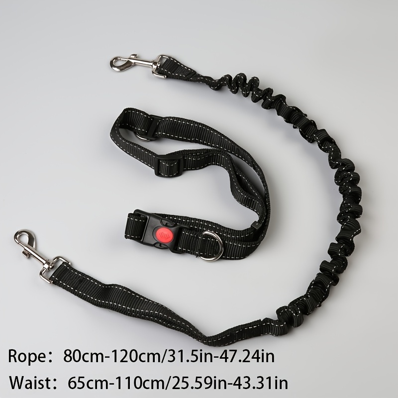 Dog belt 2024 and chain