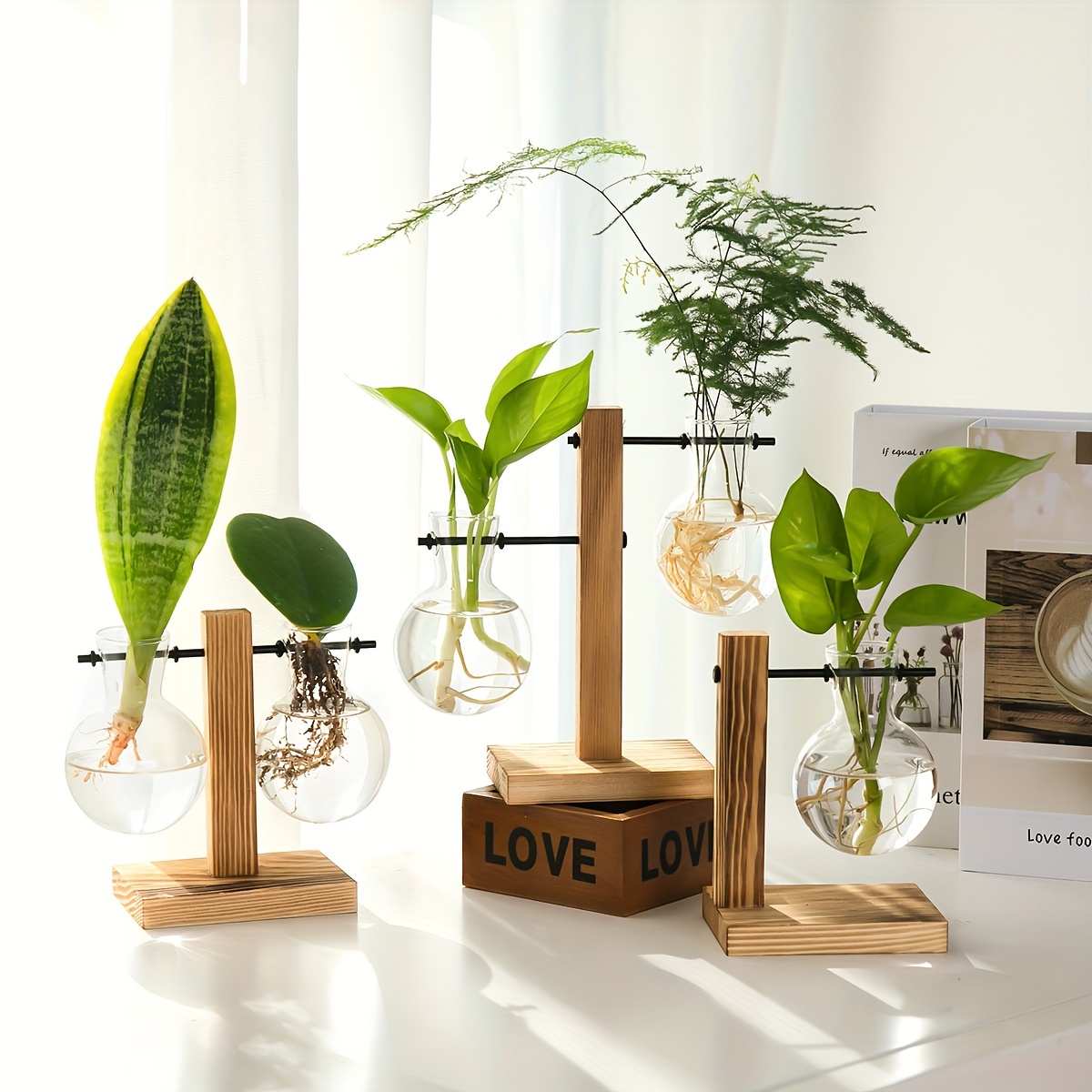 Desktop Decorative Plant, Plant Arrangements