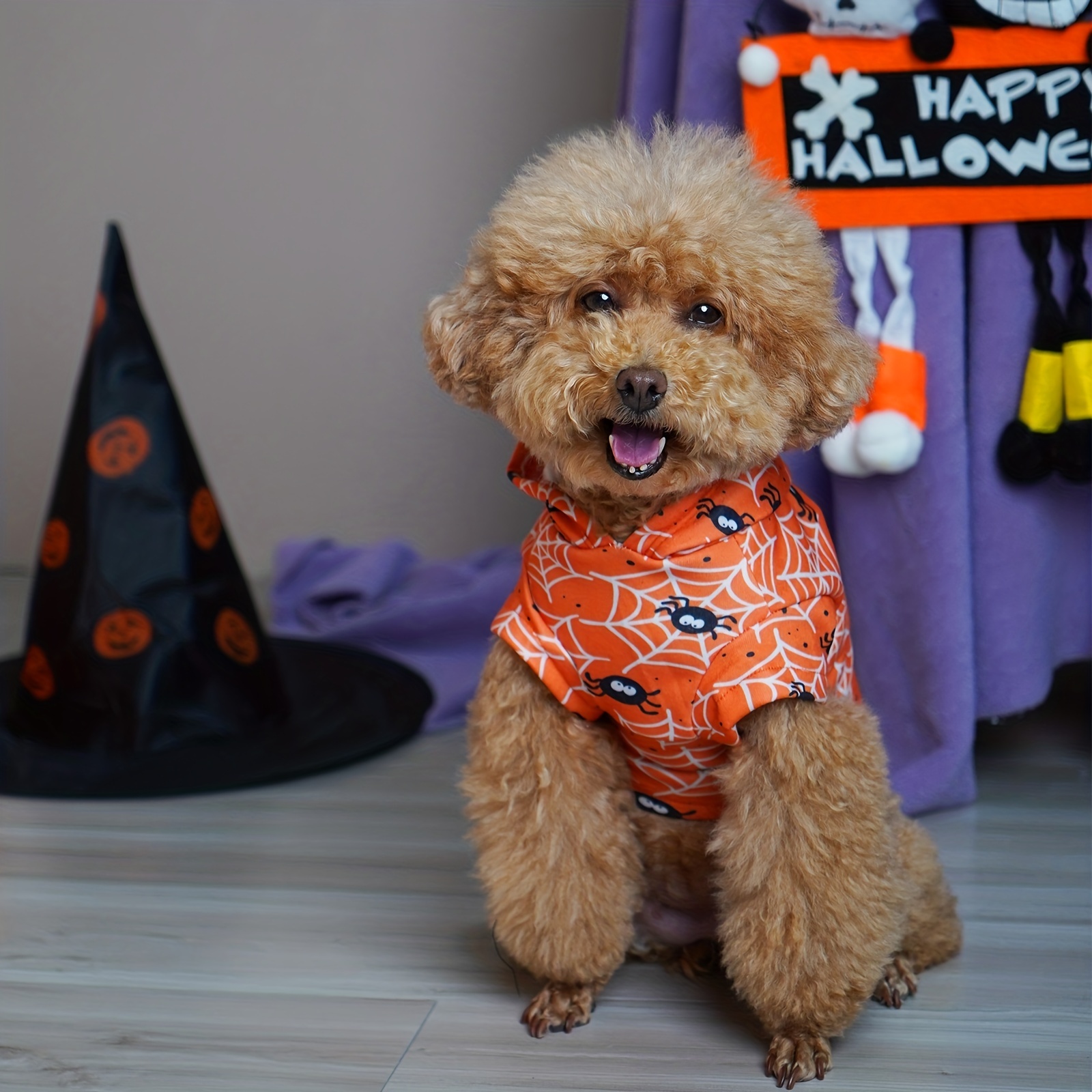  Halloween Costume for Pets Dogs Spiders Sweatshirt