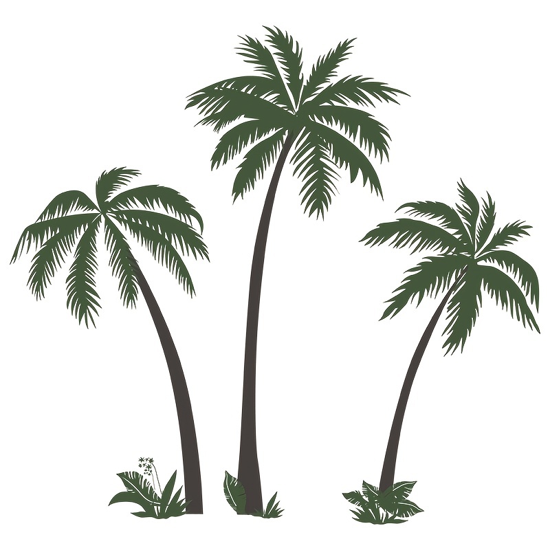 Beach Scenery Coconut Tree Wall Stickers Diy Palm Tree - Temu