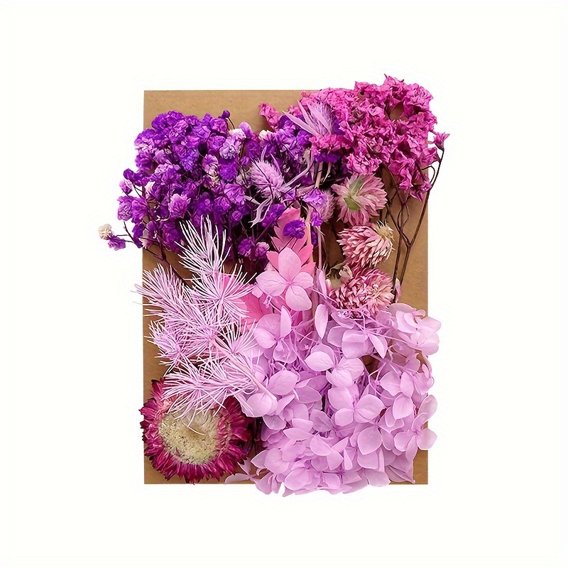 Dried Flowers For Resin Pressed Flowers Dry Flowers Eternal - Temu