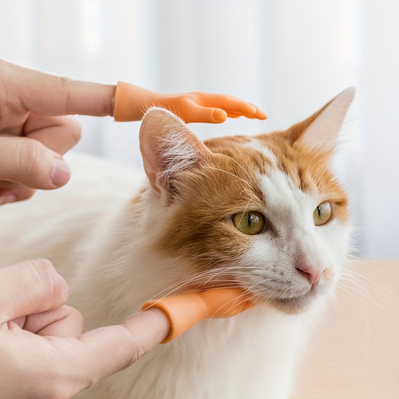 Divertenti Piccoli Dita Gadget Creativi Carezze Gatti E Guanti Per Cani  Giocattoli Creativi Interi