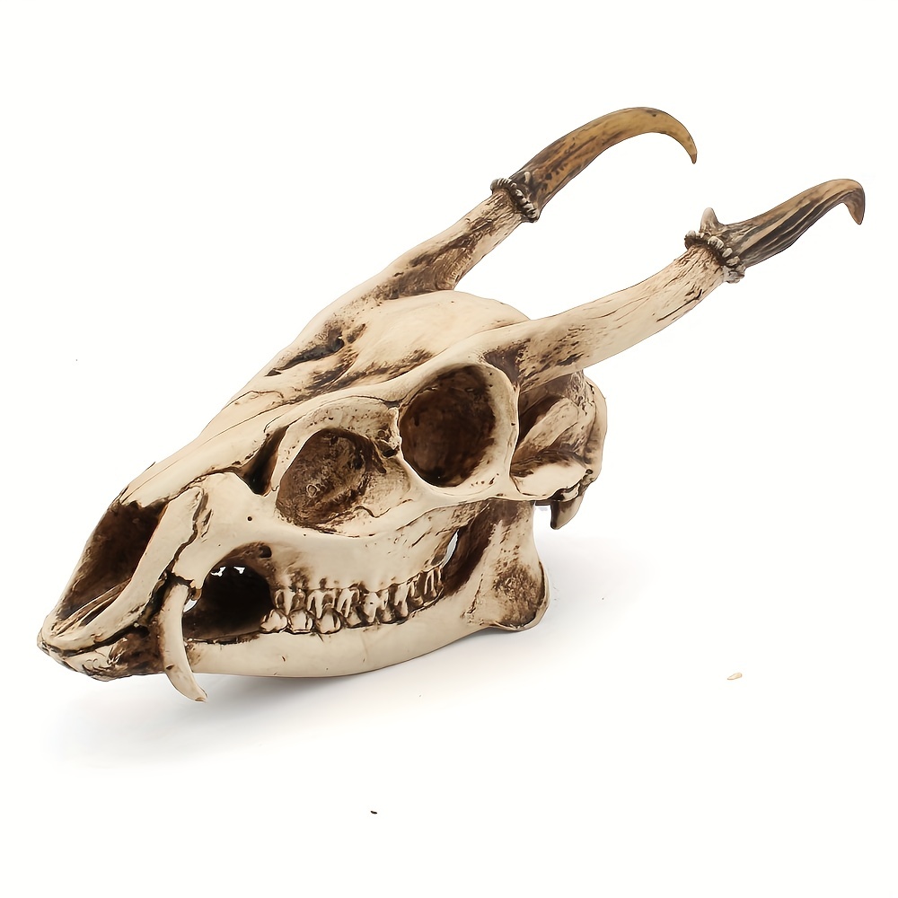 ハロウィーンの頭蓋骨の像の装飾 - リアルな外観の樹脂製の人間の骨格の頭蓋骨の頭