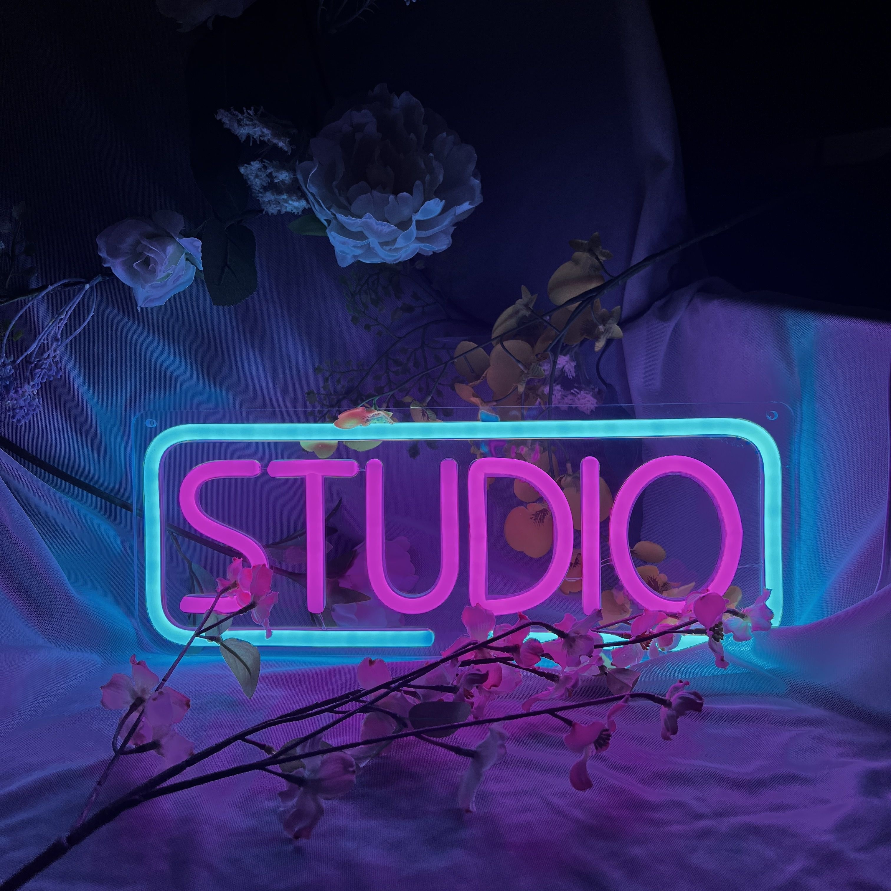 Led on sale neon studio