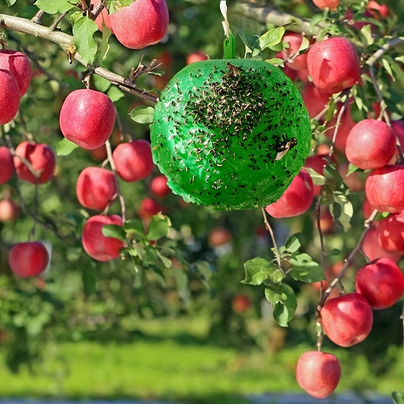 10/20 Pezzi, Trappole Adesive: Sbarazzati Di Moscerini, Mosche Della Frutta  E Altri Fastidiosi Insetti Nella