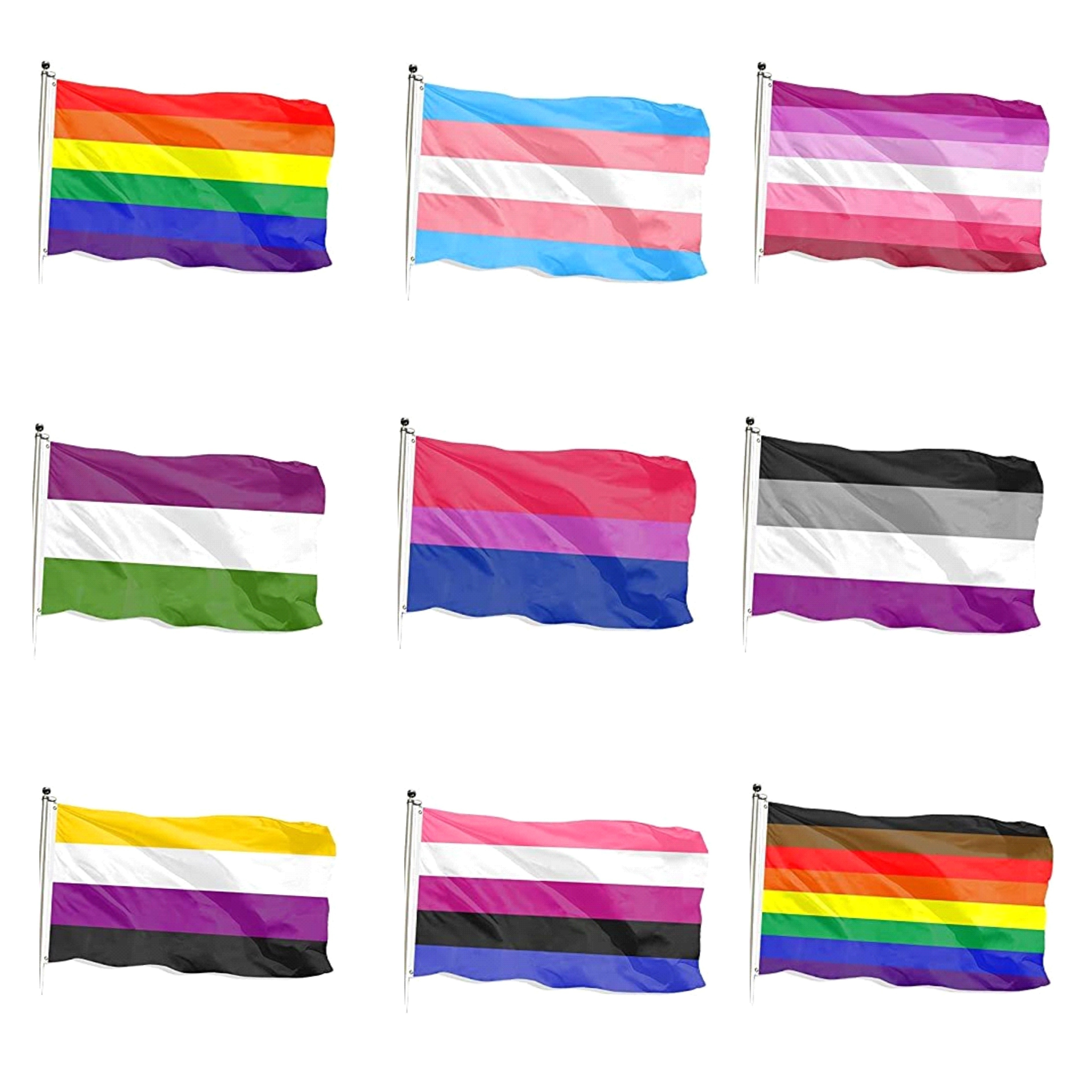 Drapeau Arc en Ciel Gay Pride Drapeau Rainbow 150 x 90cm 1 PCS et 5 pièces  Petits Drapeaux Arc-en-Ciel Intérieur ou extérieur Drapeau LGBT Gay Pride