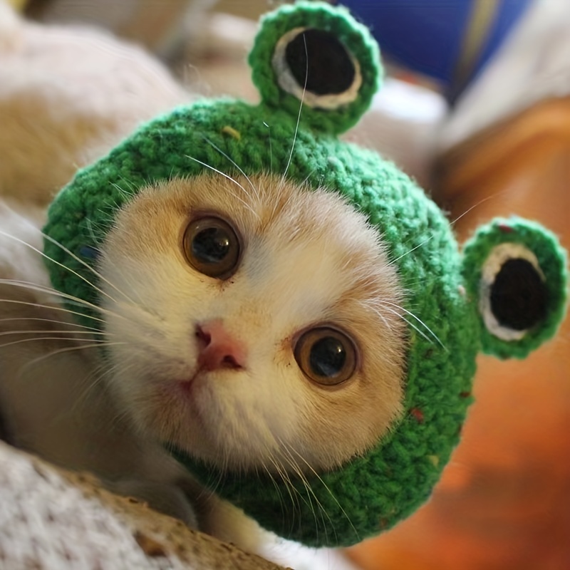 Cute Holloween Cat Wih Wizard Hat super Soft Animal - Temu Canada