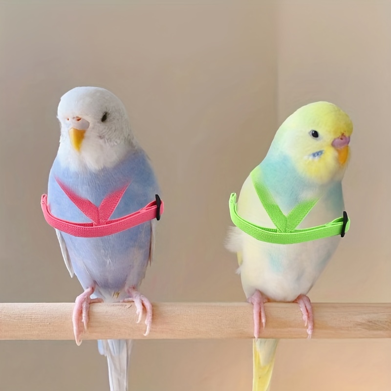 Harnesses For Parrots - Temu