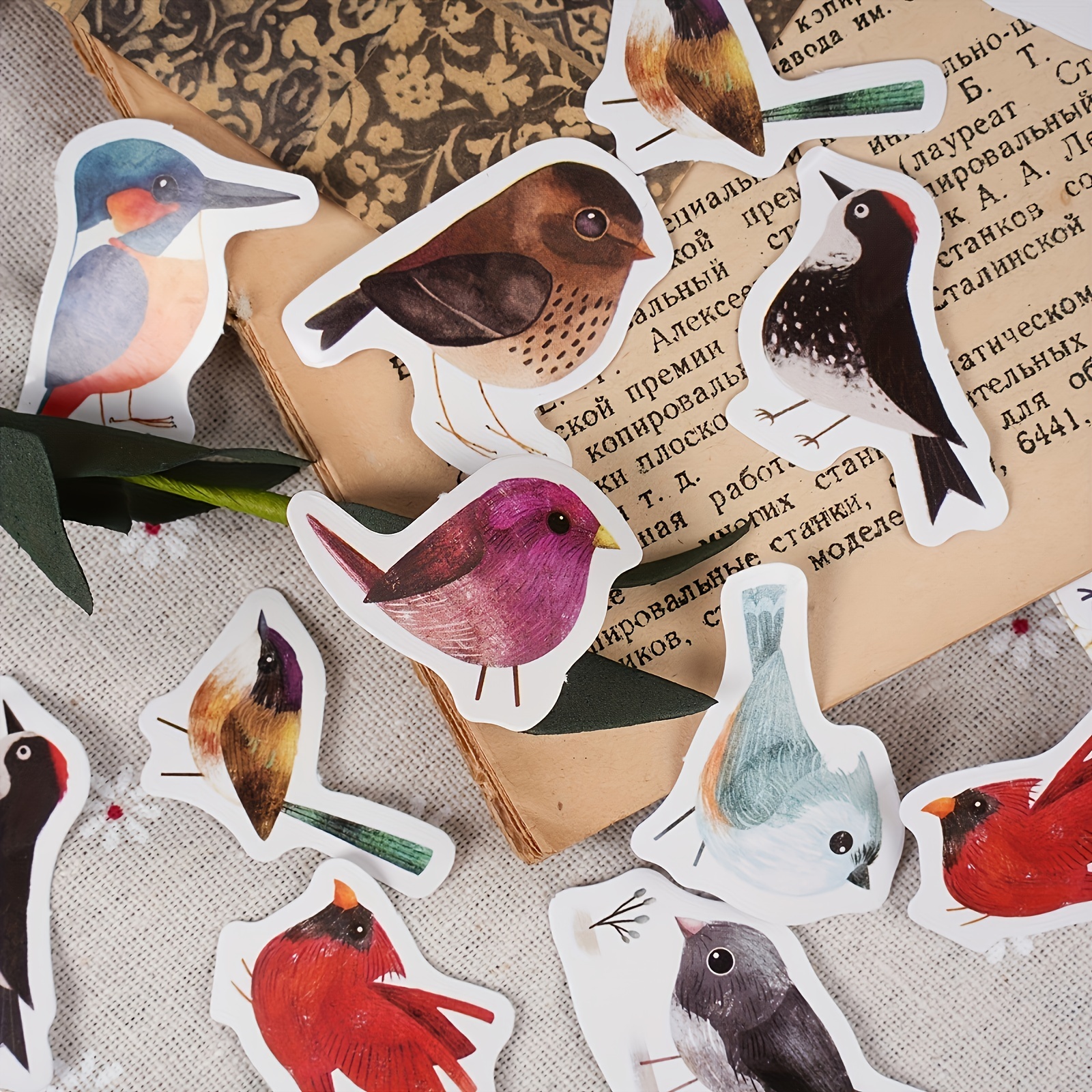 Bird Stickers - Unique Art, Craft & Stationery