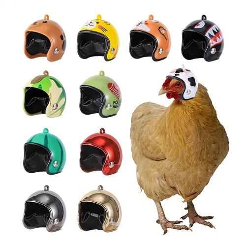 chicken helmets for chickens - Temu