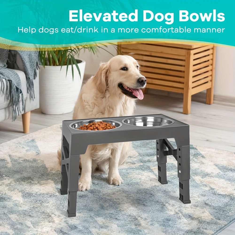 Elevated Stainless Steel Dog Double Bowls With 1 Slow Feeder Bowl