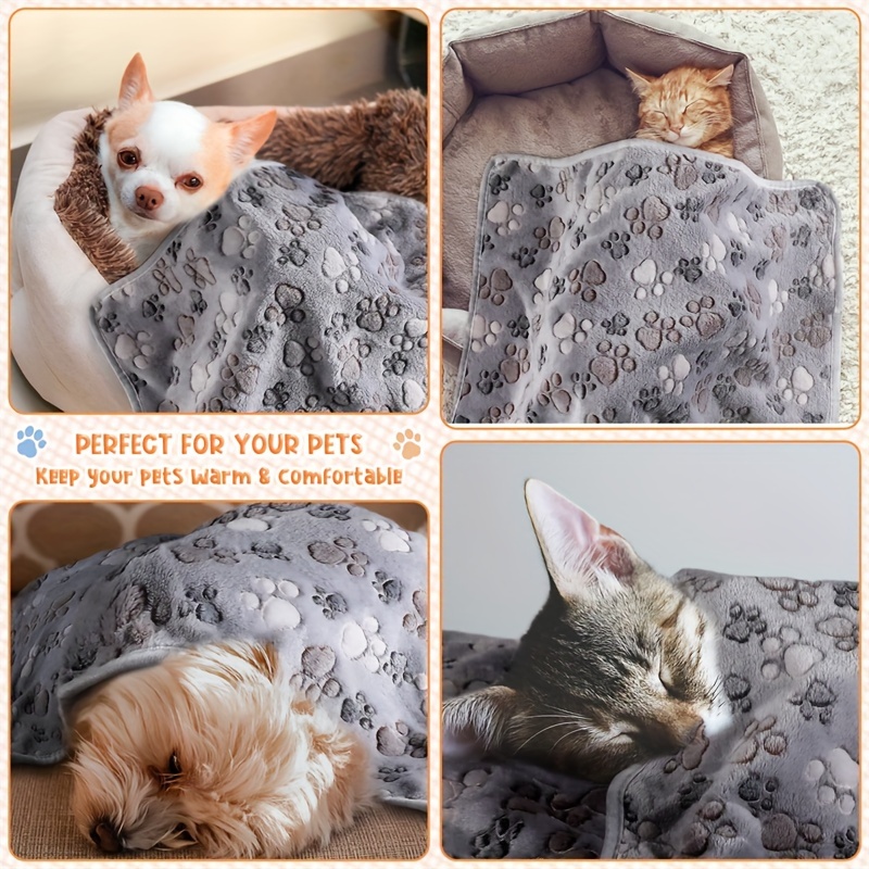 Cozy dog blanket best sale