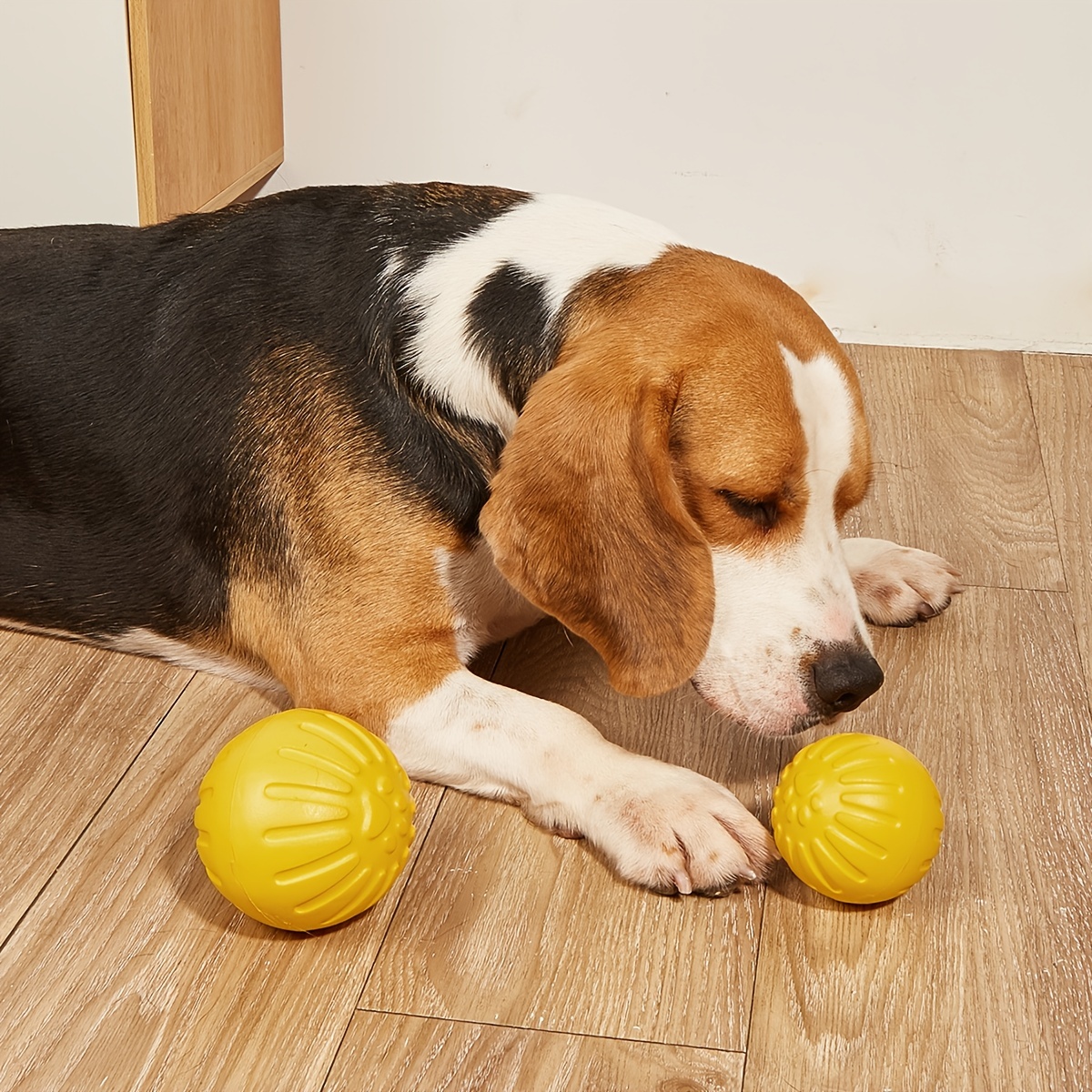 Dog Ball Toy High Elastic Bite Resistant Rebounding Dog Ball