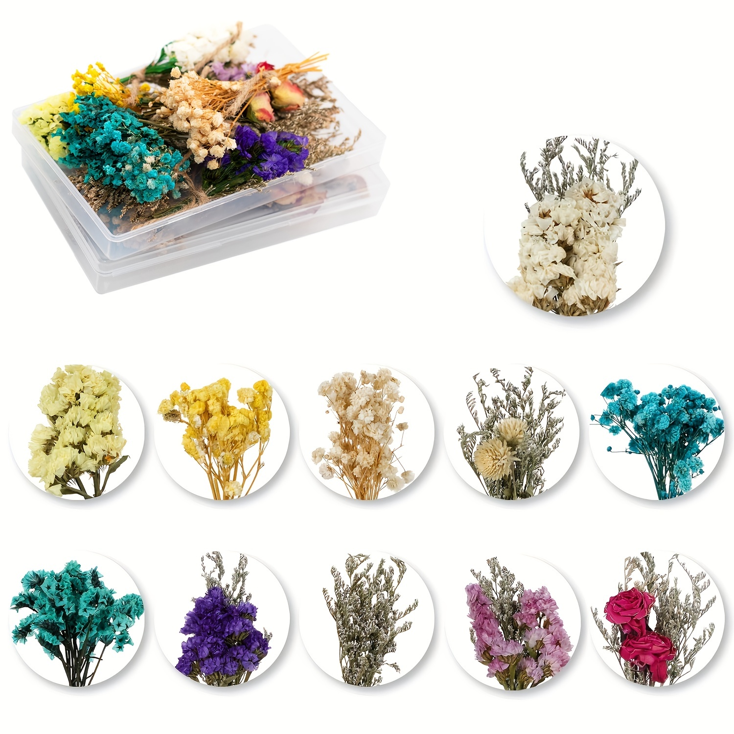 6 cajas de flores secas para resina mixtas prensadas de flores secas  múltiples mini manualidades naturales reales coloridas plantas hechas a  mano