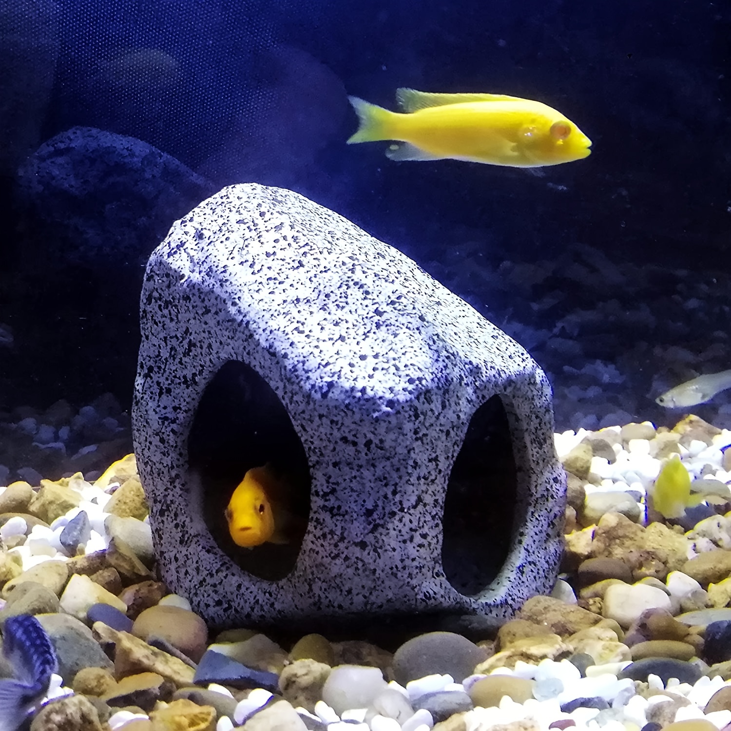 Aquarium Supplies - Temu