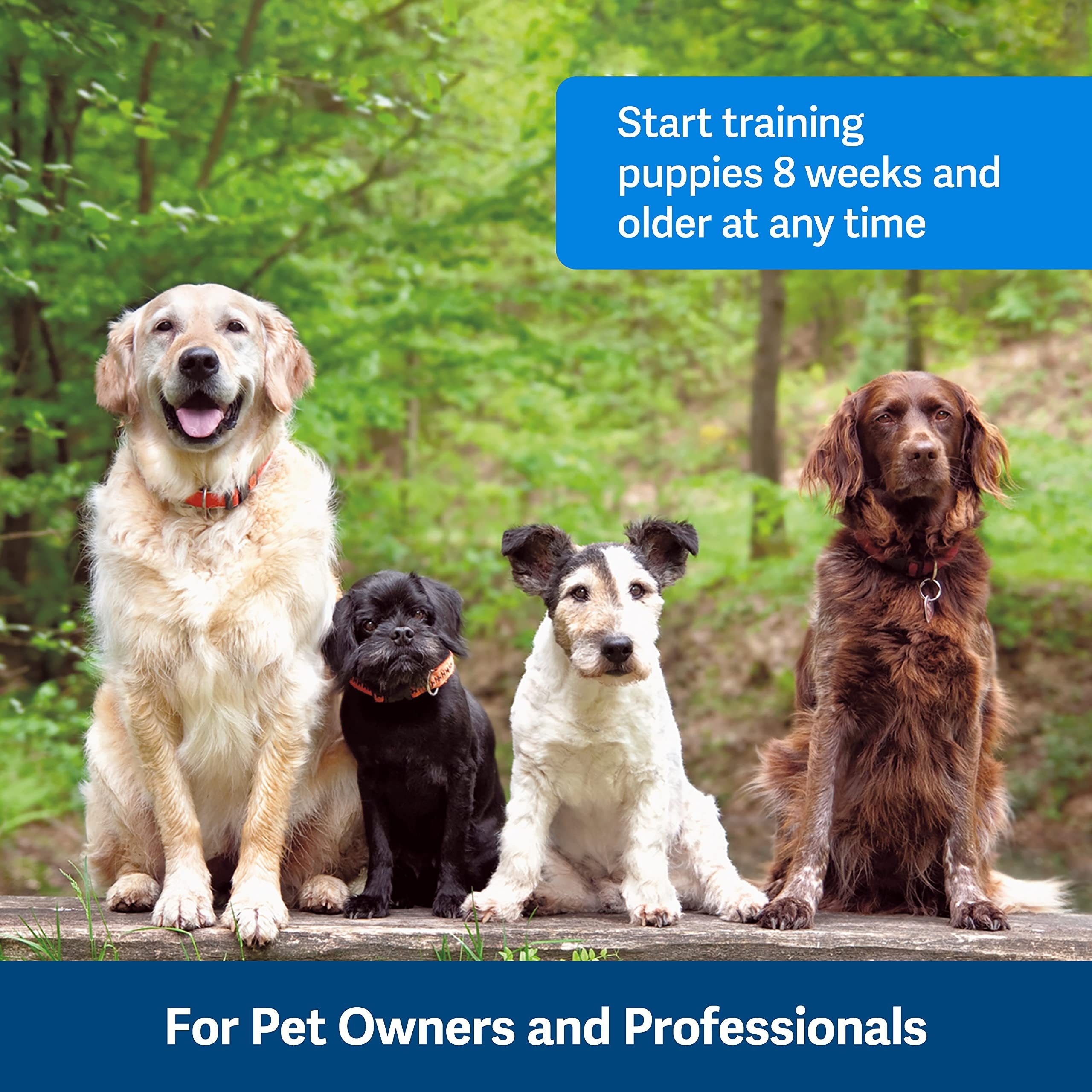 8 Dog Training Tools For Every Dog Owner