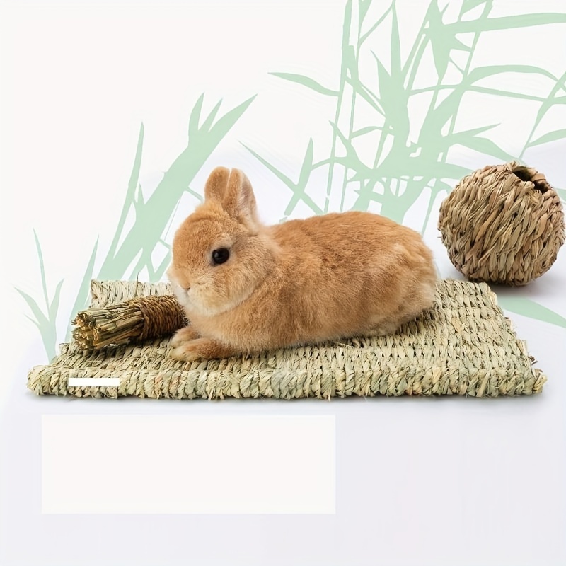 Paquet De 6 Tapis D'herbe De Lapin Lit Tissé En Paille De - Temu