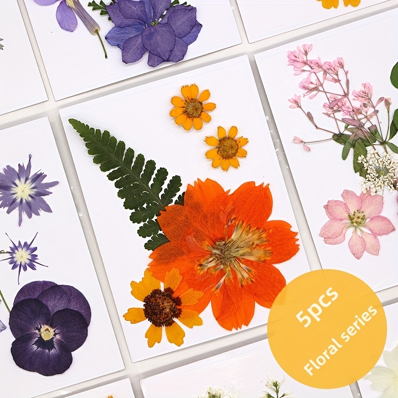 Create Unique Crafts With Diy Art Kit Real Pressed Flowers - Temu