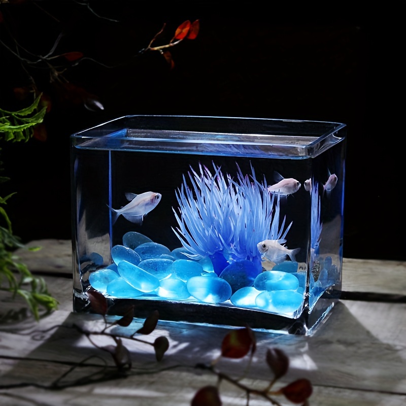 Sturdy Transparent Round Fish Bowl: Perfect Aquarium - Temu