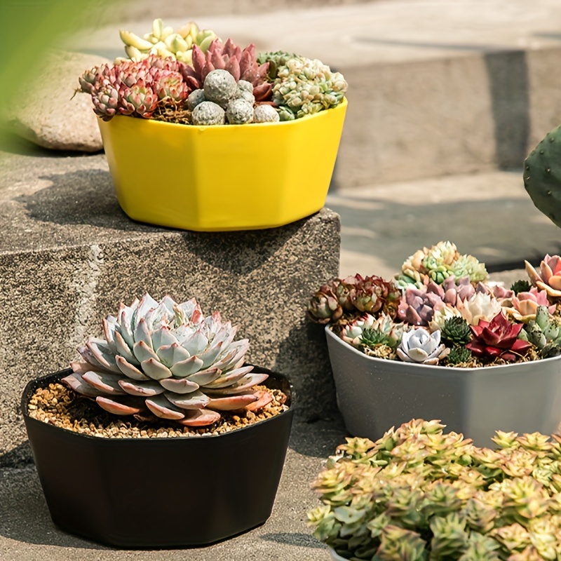 1pc, Pot De Fleurs En Résine Pour Tortue, Pots De Jardin Pour Plantes  Succulentes, Porte-plante Pour Bonsaï Pour La Maison, Le Bureau Ou Le  Bureau