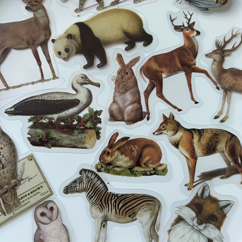A Pack Of 40 Forest Animal Pet Stickers For Decoration Supplies