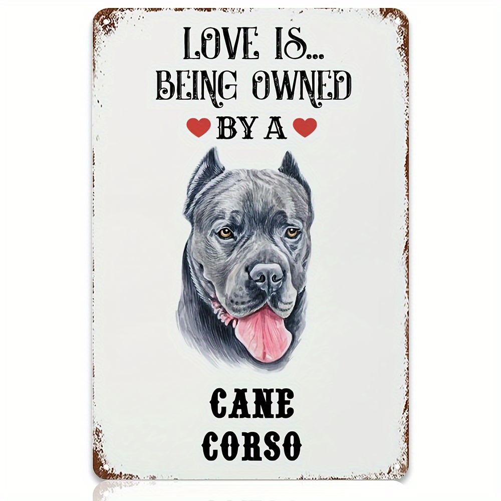 PPVC Breed Specific: The Cane Corso - a love when socialized and