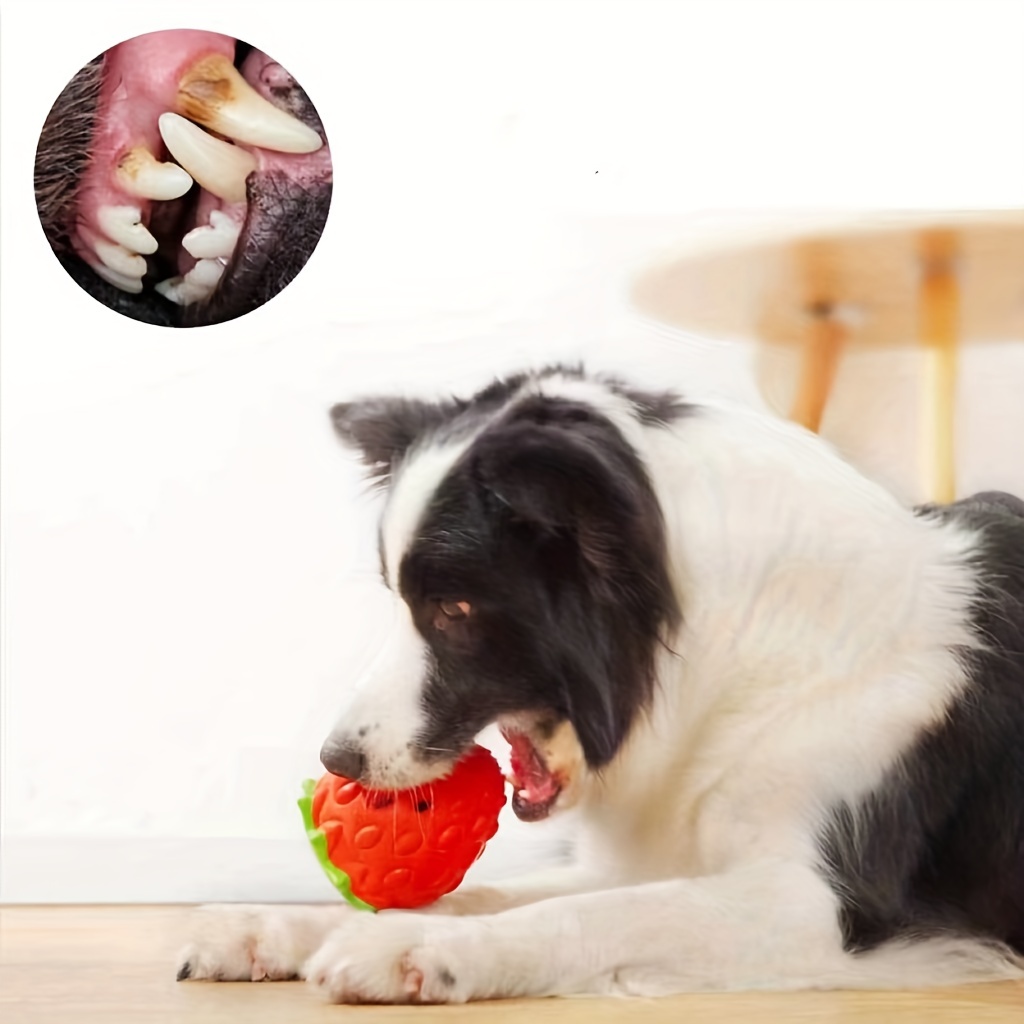 Strawberry Dog Chew Toy Durable Puppy Feeder Toys for Iq Training