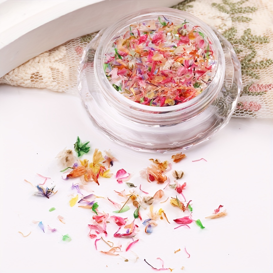 Natural Colorful Dried Flowers For Nail Art Decorations Diy - Temu