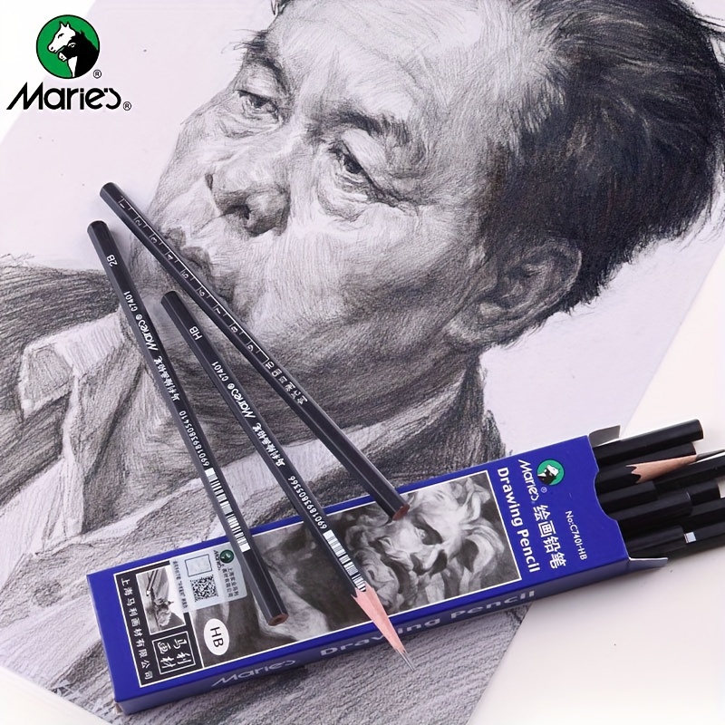 Drawing Pencils Hb, 2b, 4b, 6b, 8b Etc. Art Pencil Drawing Graphite Pencil  Painting Supplies - Temu