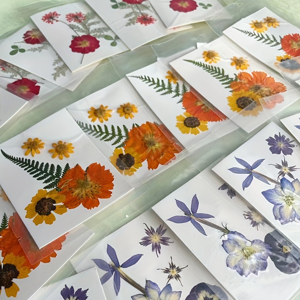  Easy-Press Dried Flower Bookmark Sticker Set, DIY