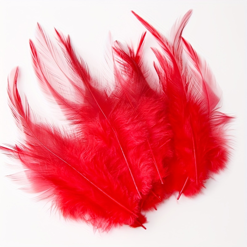 Red Feathers 28cm (Pack of 6), Arts and Crafts
